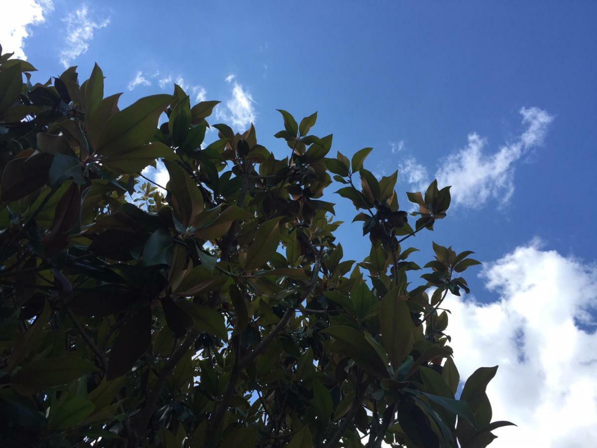 Kuca Za Odmor Kuzmanic Villa Kastela Dış mekan fotoğraf